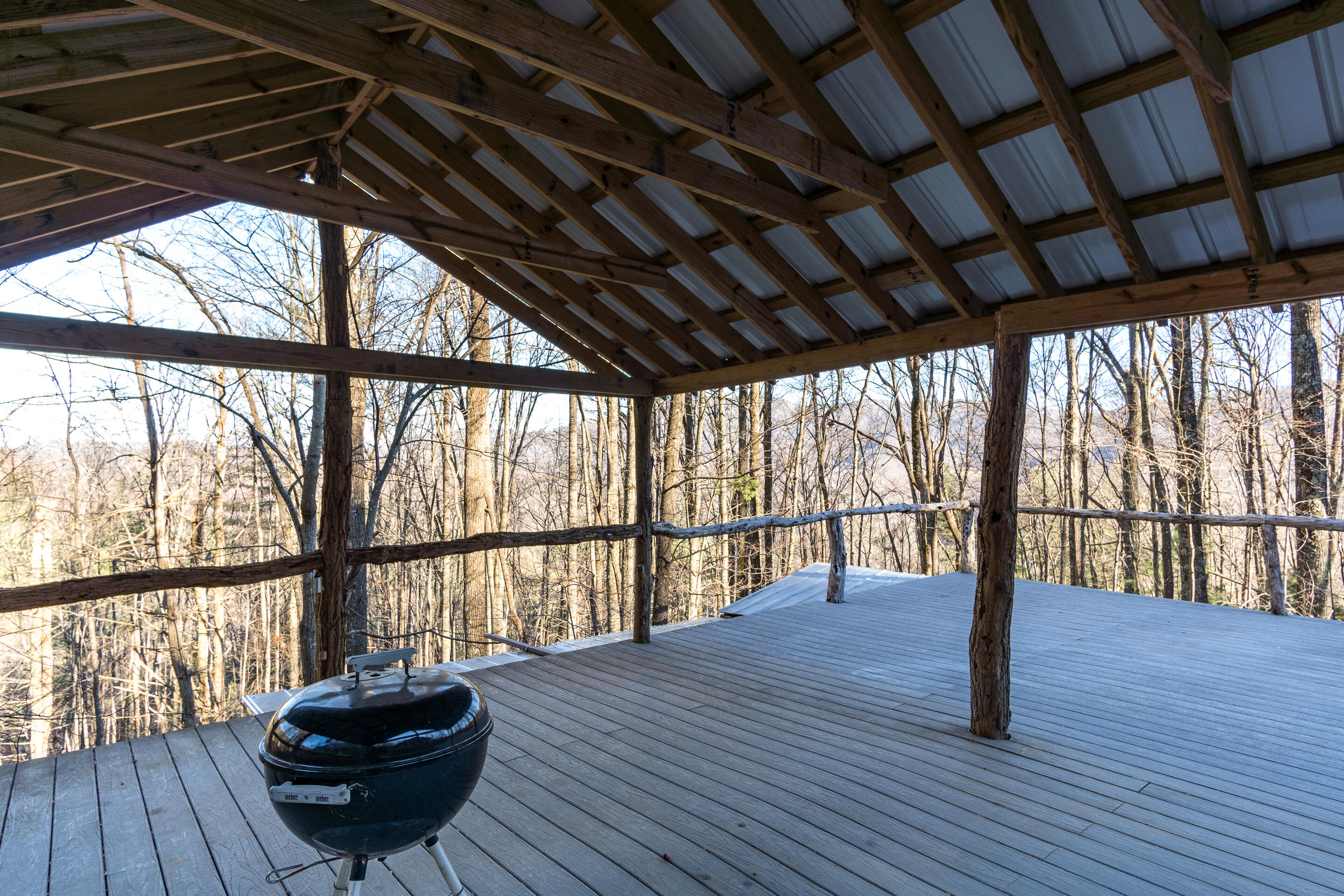 150 Knight Road Flag Pond, TN 37657 - Photo 35 of 76 exterior-42