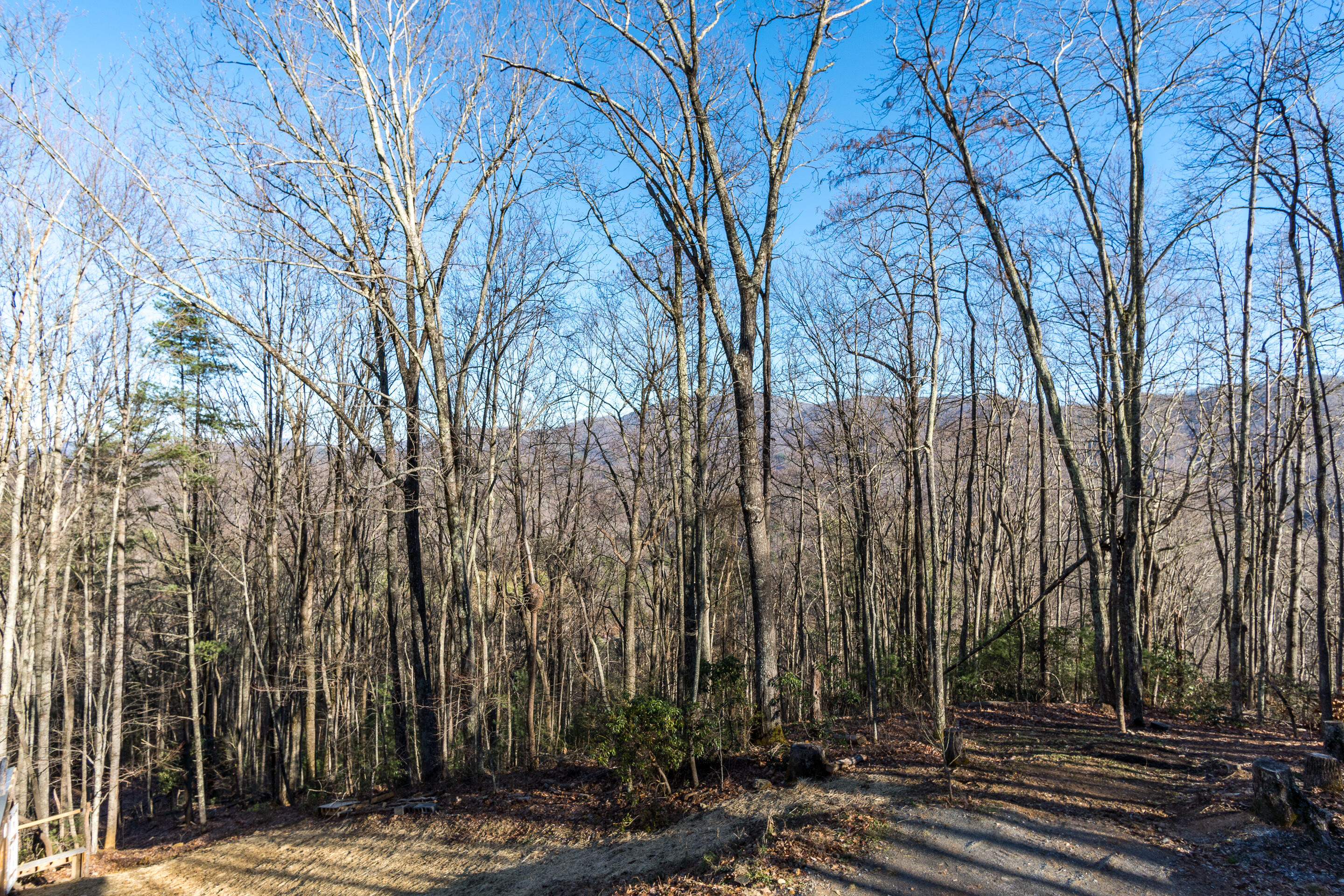 150 Knight Road Flag Pond, TN 37657 - Photo 36 of 76 exterior-13