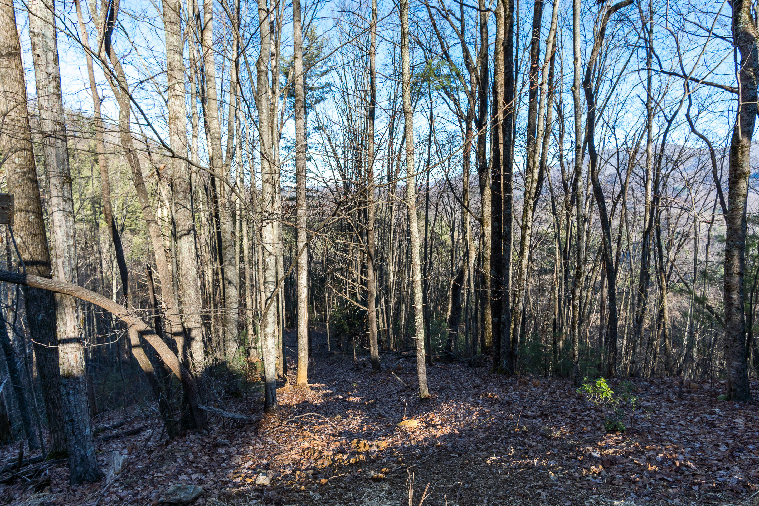 150 Knight Road Flag Pond, TN 37657 - Photo 37 of 76 exterior-43