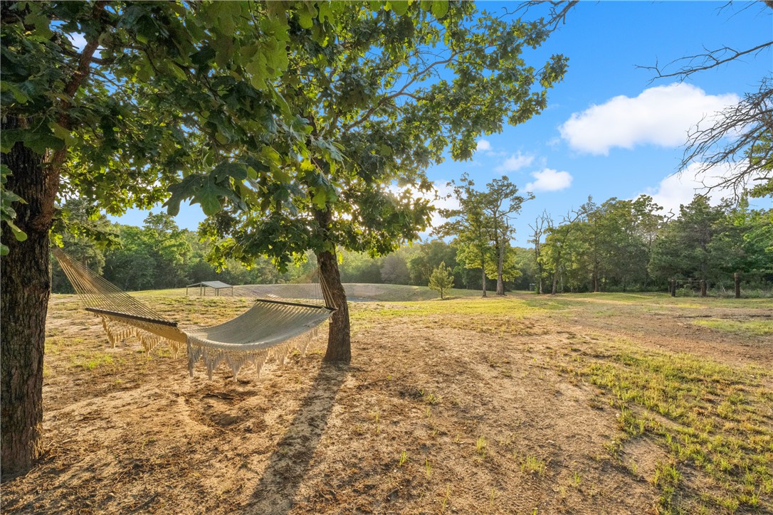 740 Bridget Avenue Buffalo, TX 75831 - Photo 29 of 42 a view of a yard with a tree