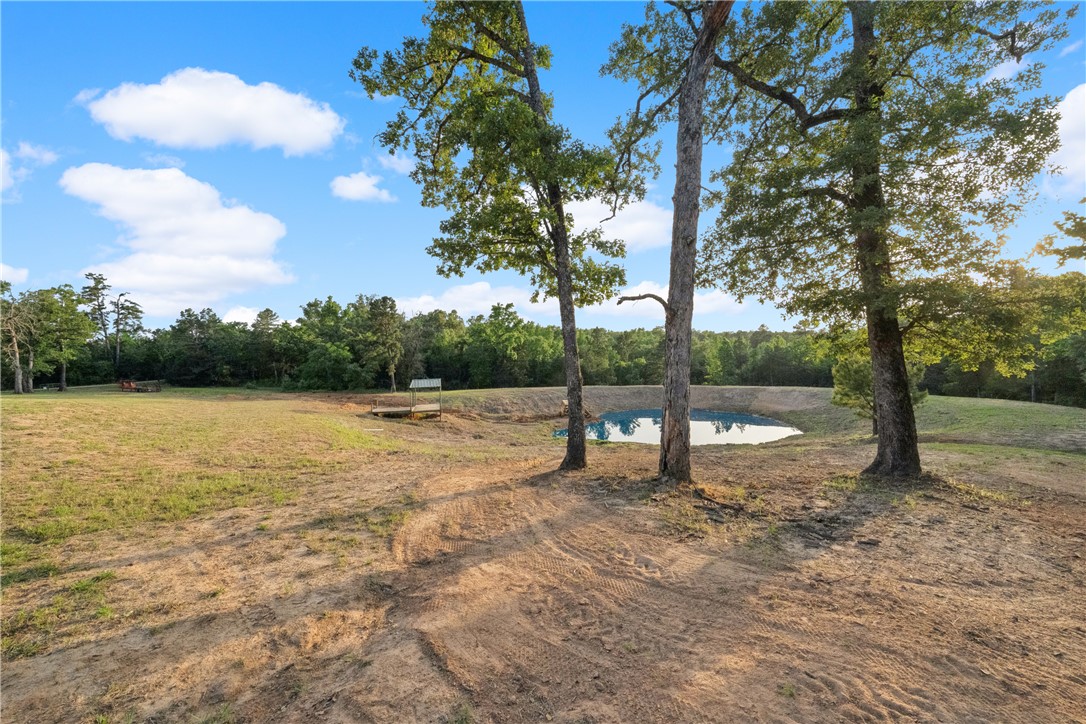 740 Bridget Avenue Buffalo, TX 75831 - Photo 37 of 42 a view of a park with large trees
