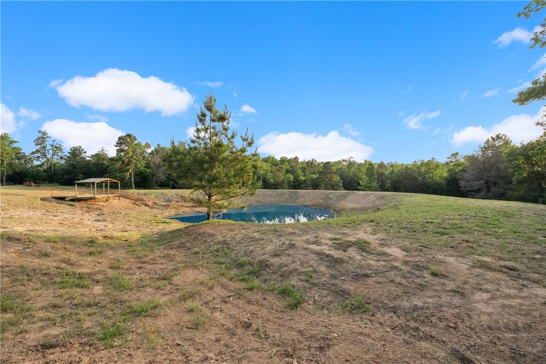 740 Bridget Avenue Buffalo, TX 75831 - Photo 4 of 42 a view of a lake with houses in the background