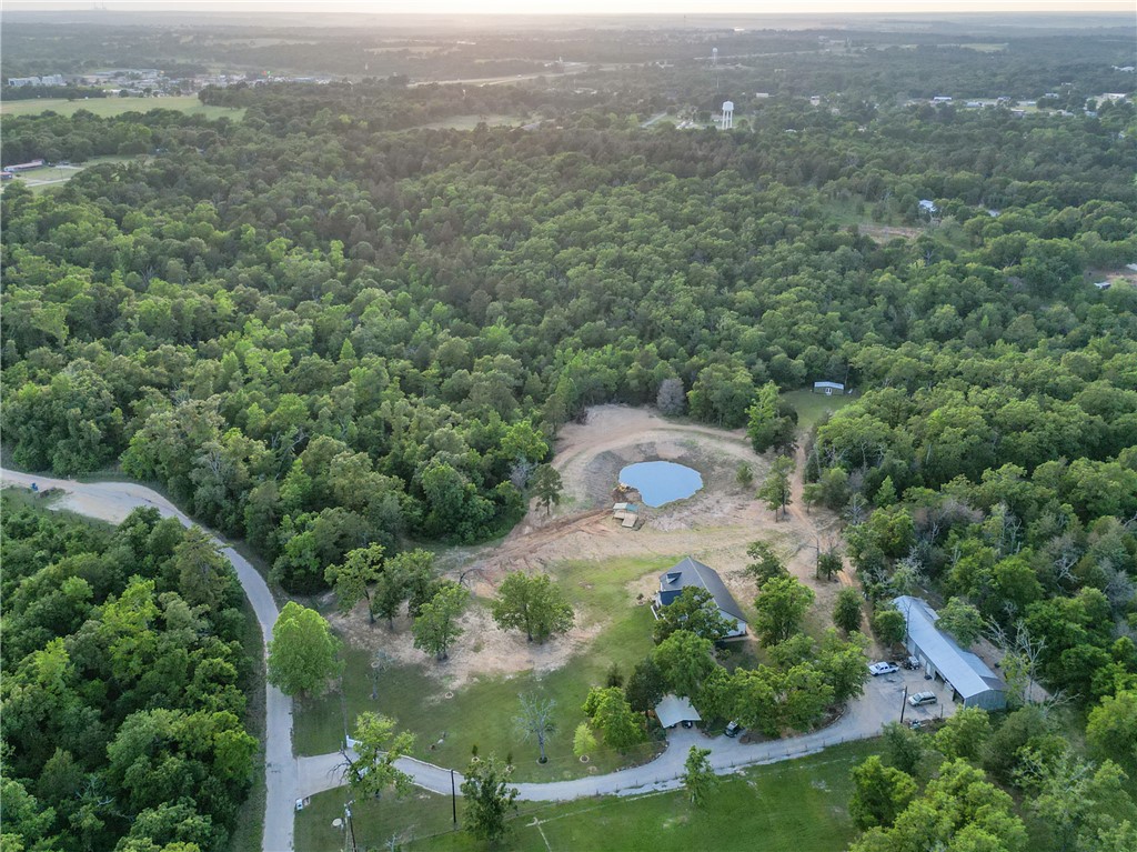 740 Bridget Avenue Buffalo, TX 75831 - Photo 40 of 42 an aerial view of a houses with a yard
