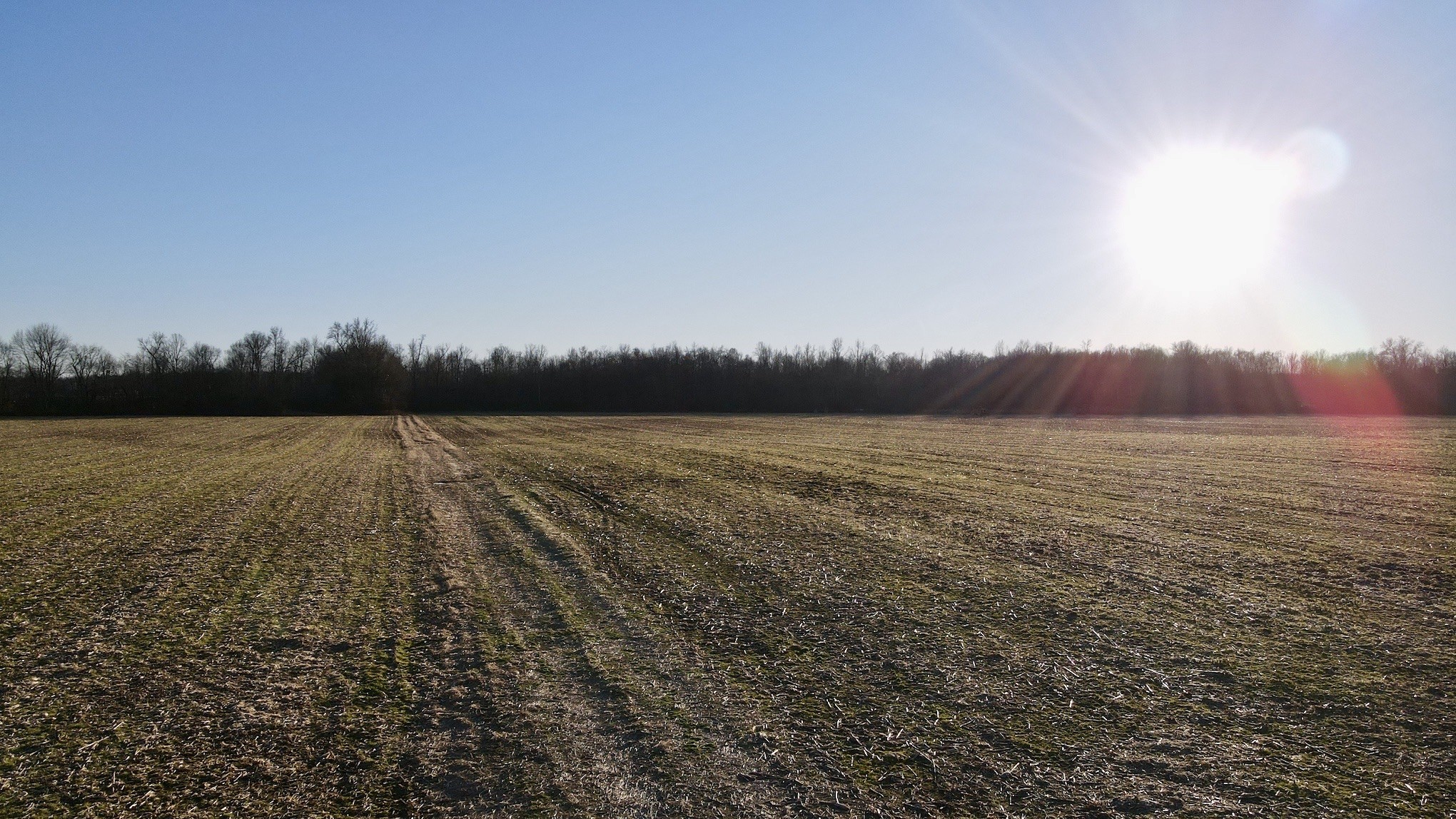 4 Duncan Road Manchester, TN 37355 - Photo 13 of 14 a view of lake