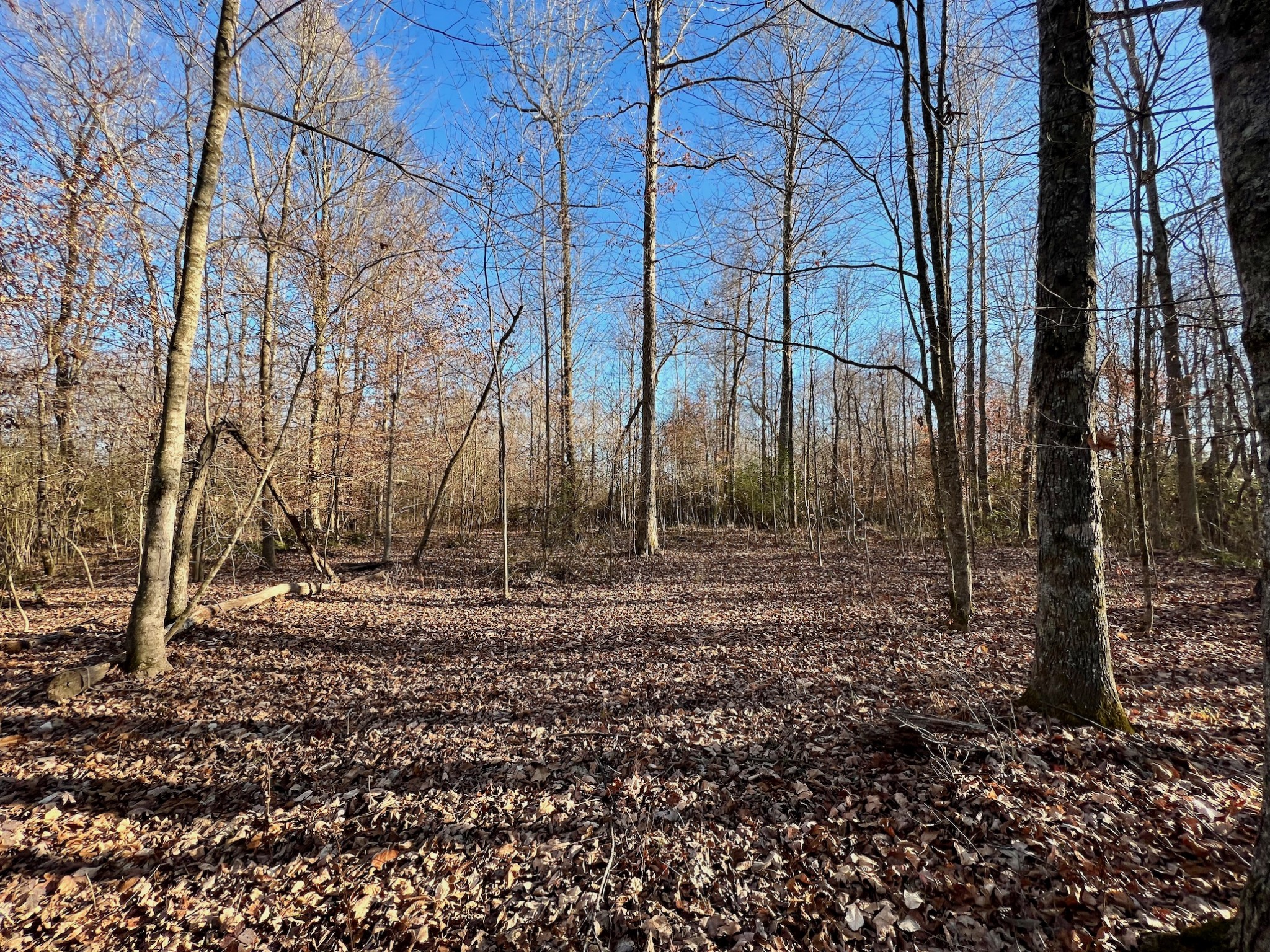 4 Duncan Road Manchester, TN 37355 - Photo 7 of 14 a backyard of a house with lots of green space