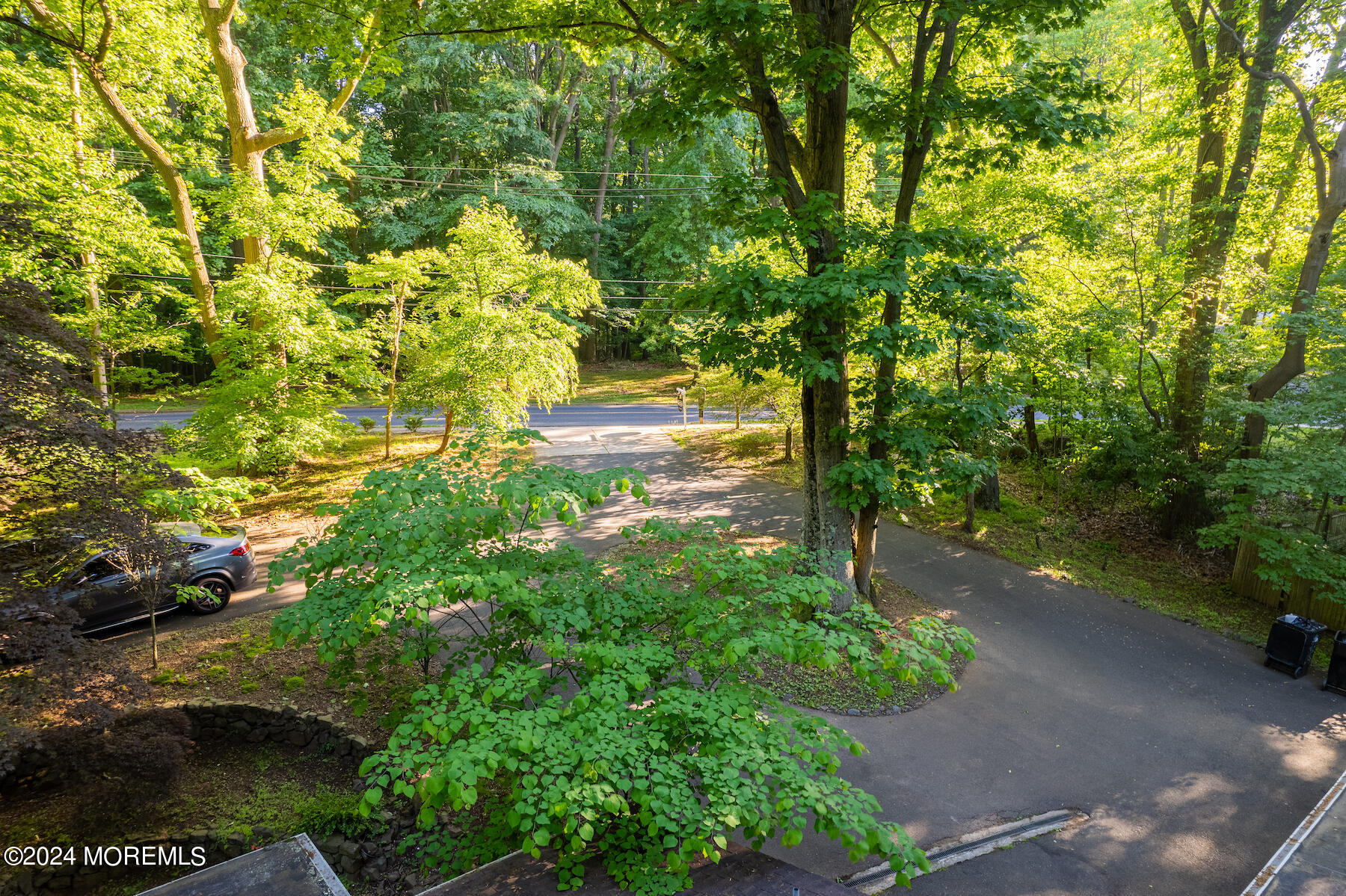 77 Telegraph Hill Road Holmdel, NJ 07733 - Photo 31 of 31 a view of a yard with plants and large trees