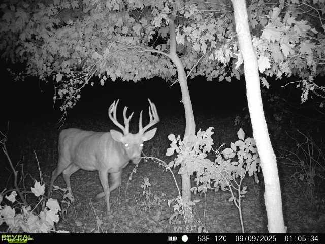 8963 Kettering Road Kensington, OH 44427 - Photo 36 of 36 Gallery Image 36