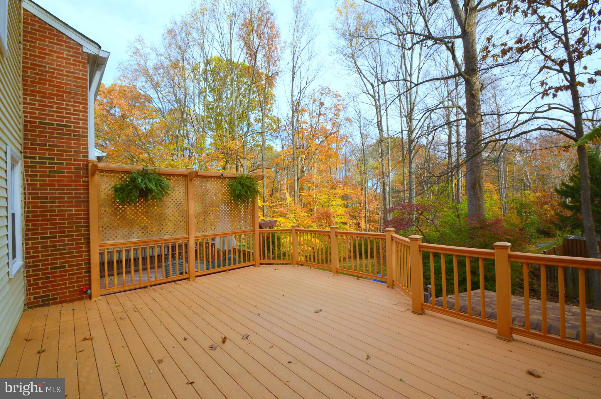 5630 Kirkham Court Springfield, VA 22151 - Photo 6 of 24 Gallery Image 6