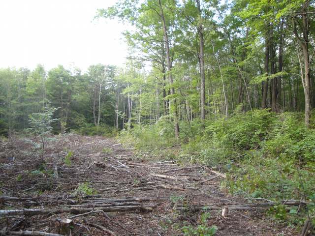 3 Trout Creek Road Rhinelander, WI 54501 - Photo 5 of 9 Gallery Image 5