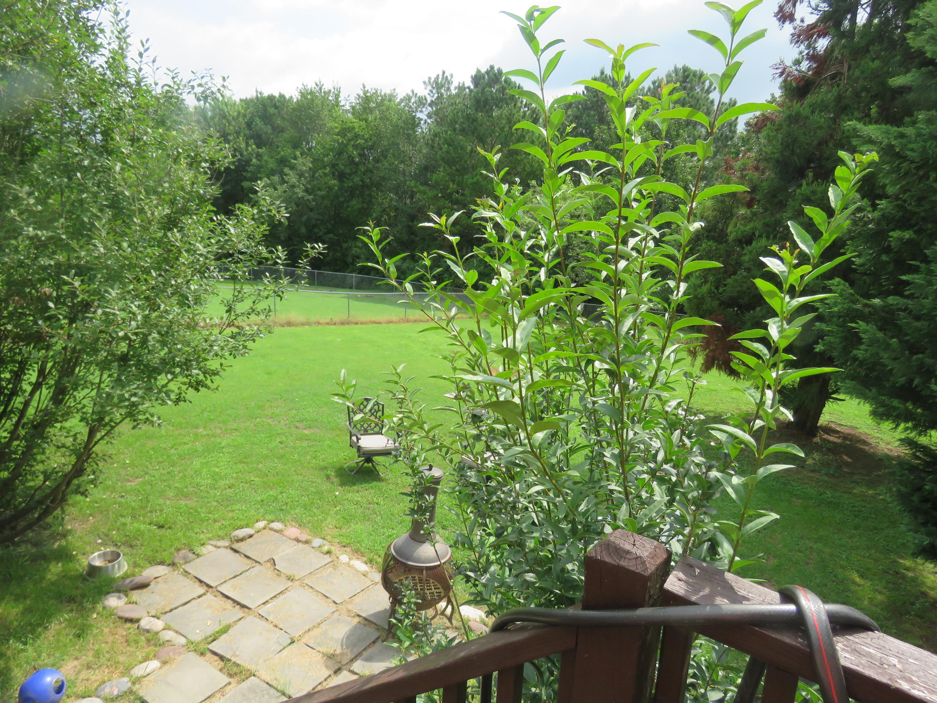 147 Spring Wind Circle Ringgold, GA 30736 - Photo 20 of 23 IMG_7870