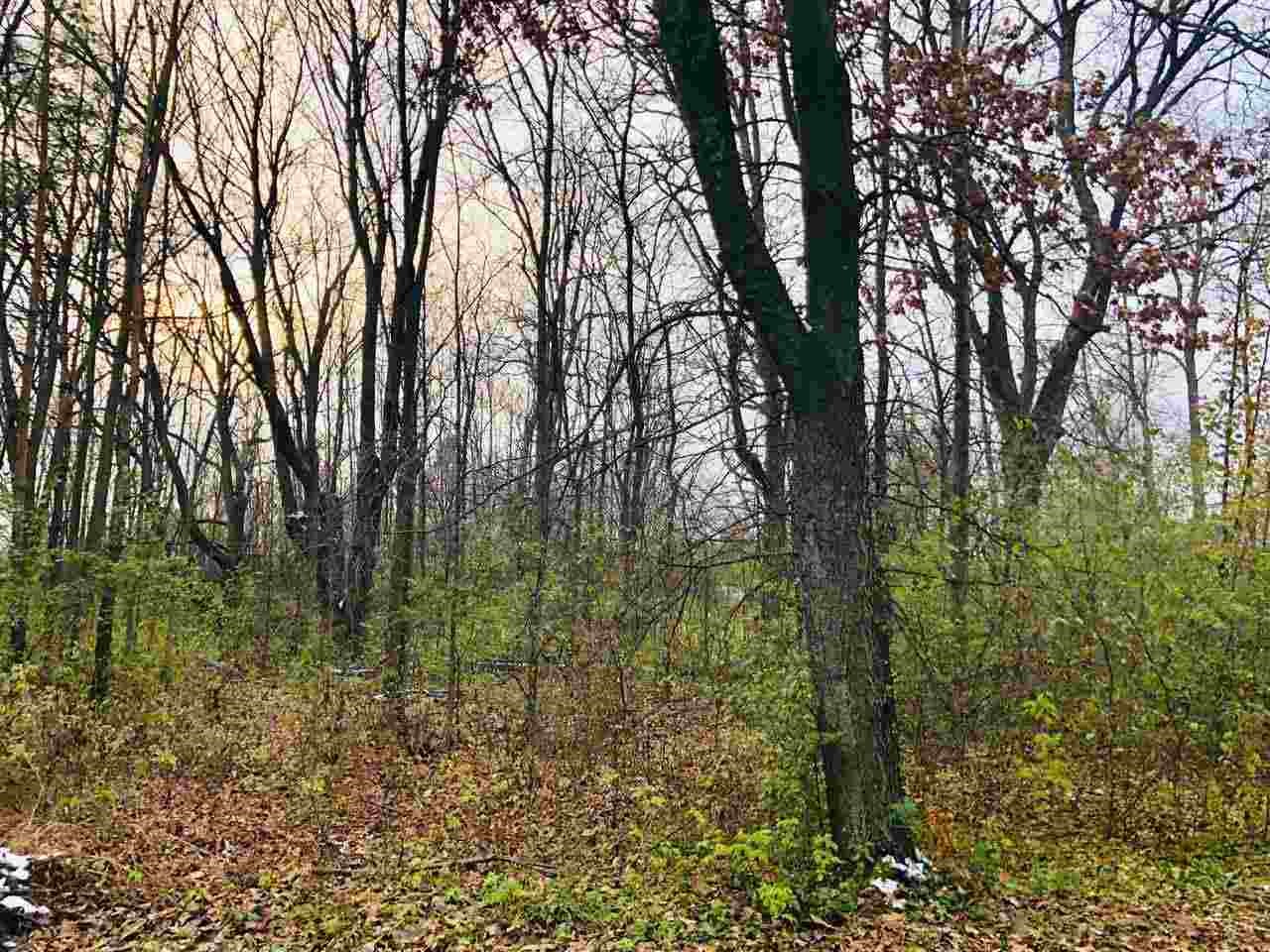 5400 East Coldwater Road Flint, MI 48506 - Photo 41 of 53