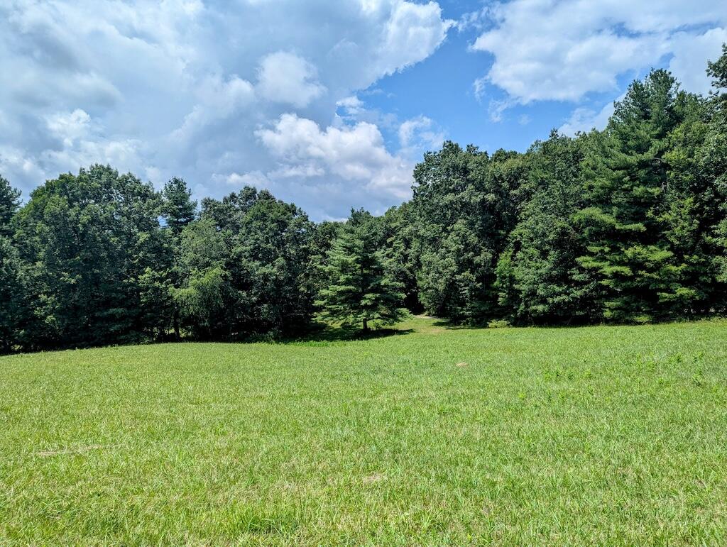 515 Windsor Road Northwest Willis, VA 24380 - Photo 24 of 30 a view of a garden
