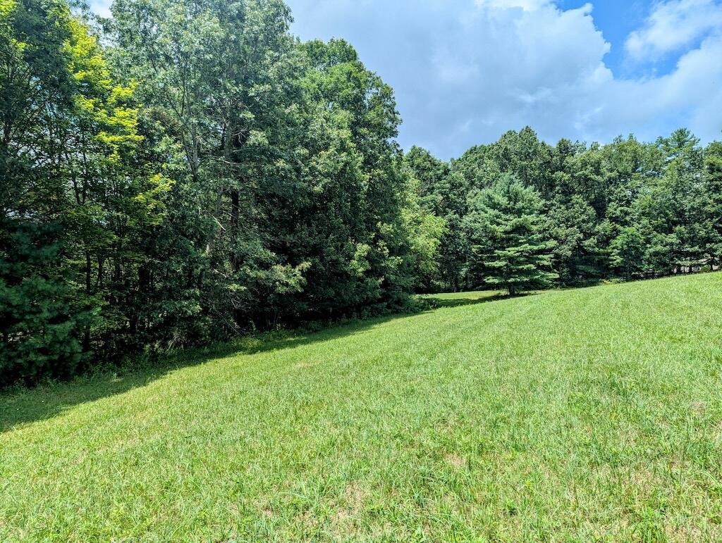 515 Windsor Road Northwest Willis, VA 24380 - Photo 27 of 30 a view of a garden