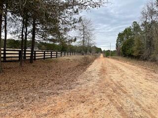 7.8-acres Deer Stand Road Wagener, SC 29164 - Photo 6 of 14