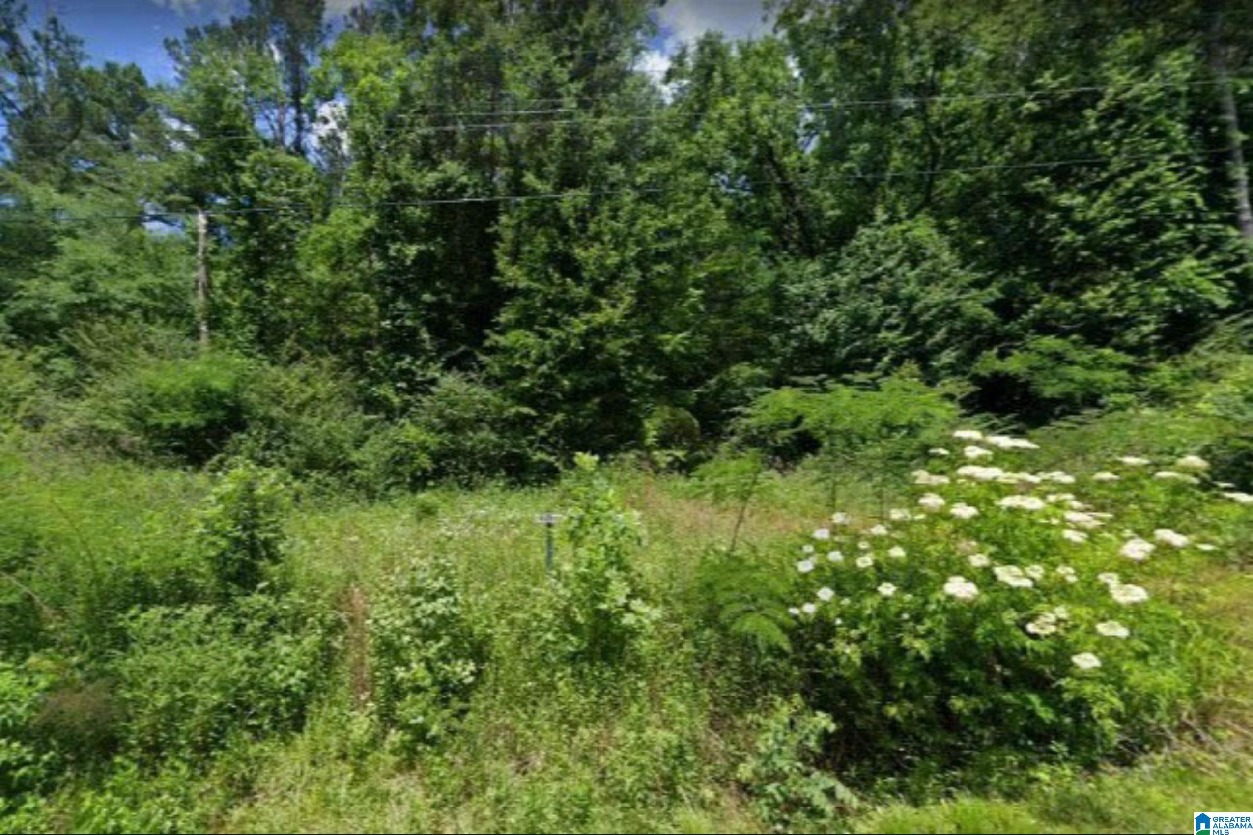 1281 Brickyard Road, Unit 1281 Sylacauga, AL 35150 - Photo 1 of 2