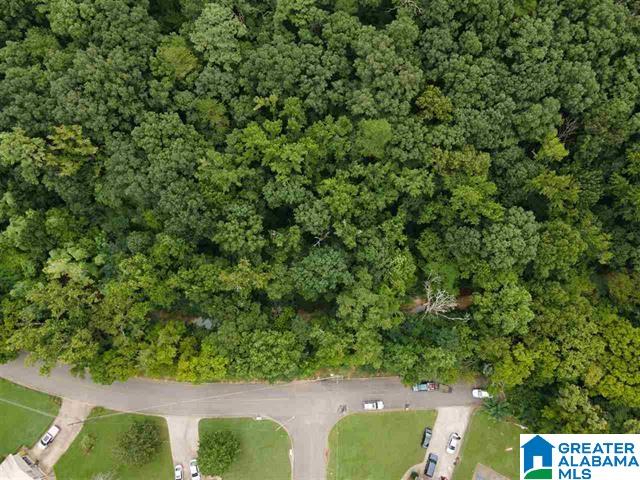 1471 Marlin Springs Road, Unit 1 Birmingham, AL 35215 - Photo 5 of 5