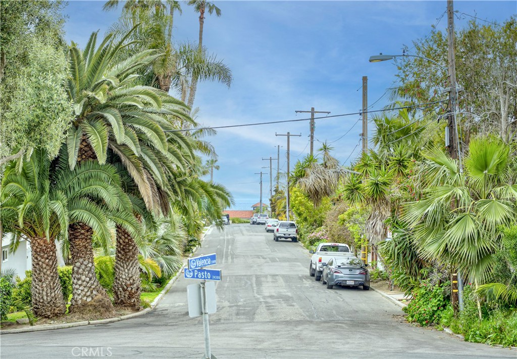24331 Pasto Road, Unit D Dana Point, CA 92629 - Photo 20 of 30