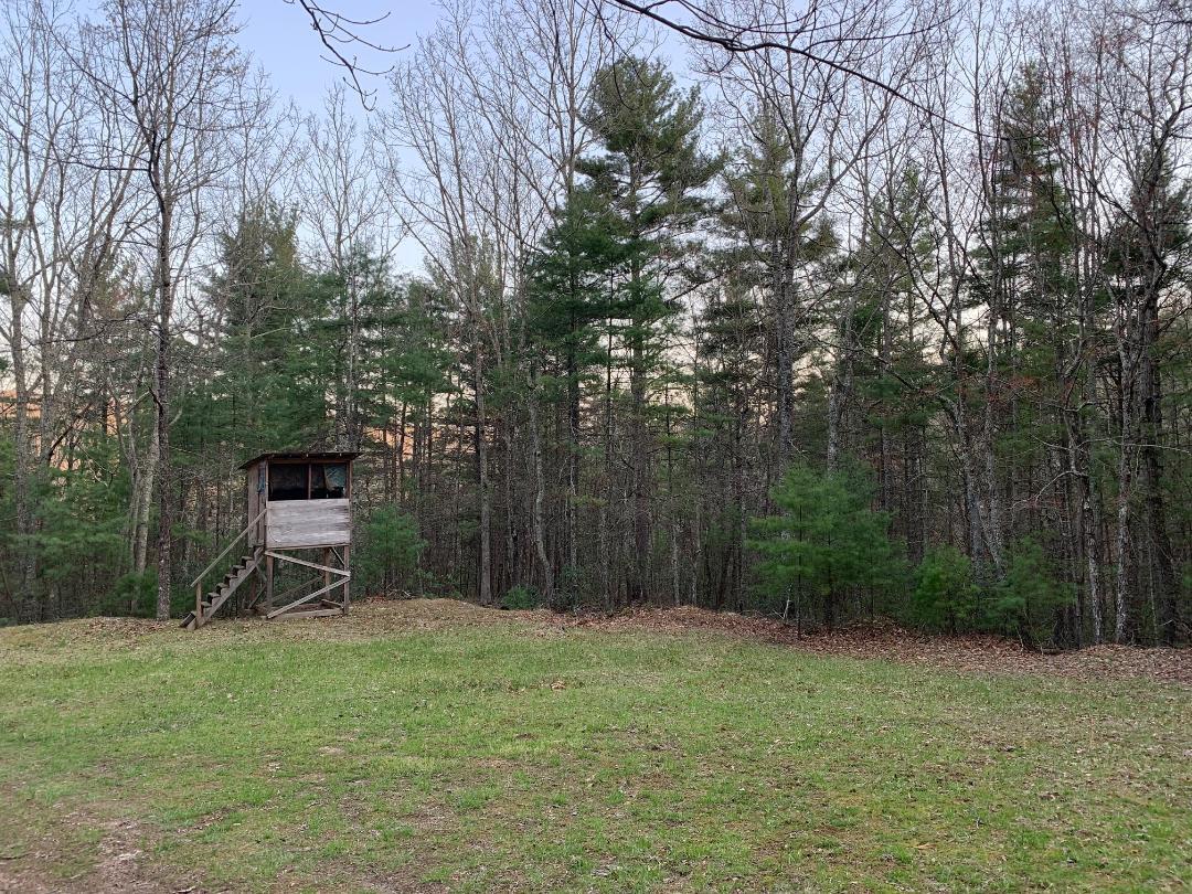 138 Deer Run Road Gap Mills, WV 24941 - Photo 23 of 32 Gallery Image 23