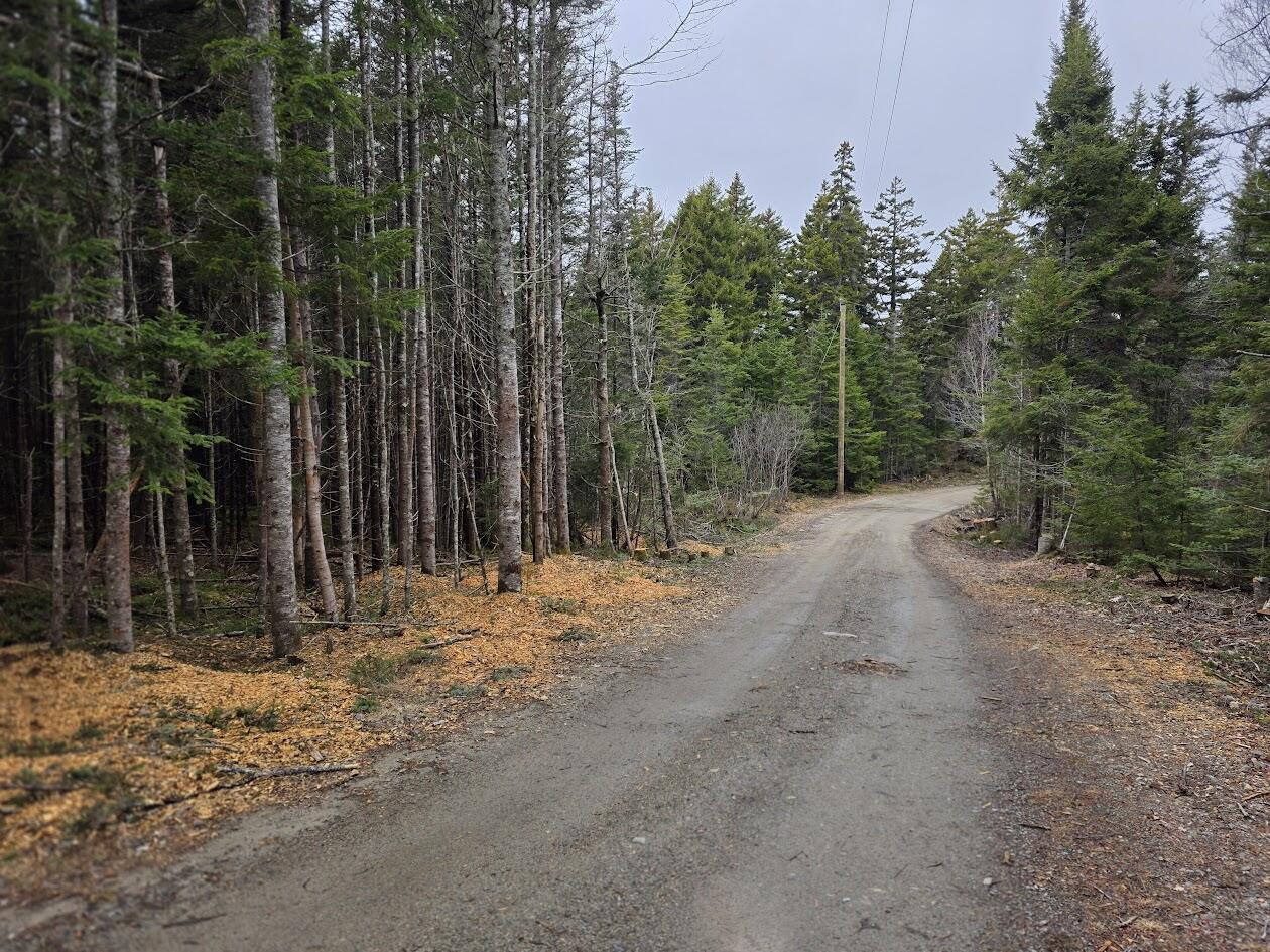 Lot 1 Windward Way Addison, ME 04606 - Photo 12 of 14 20260415_142909