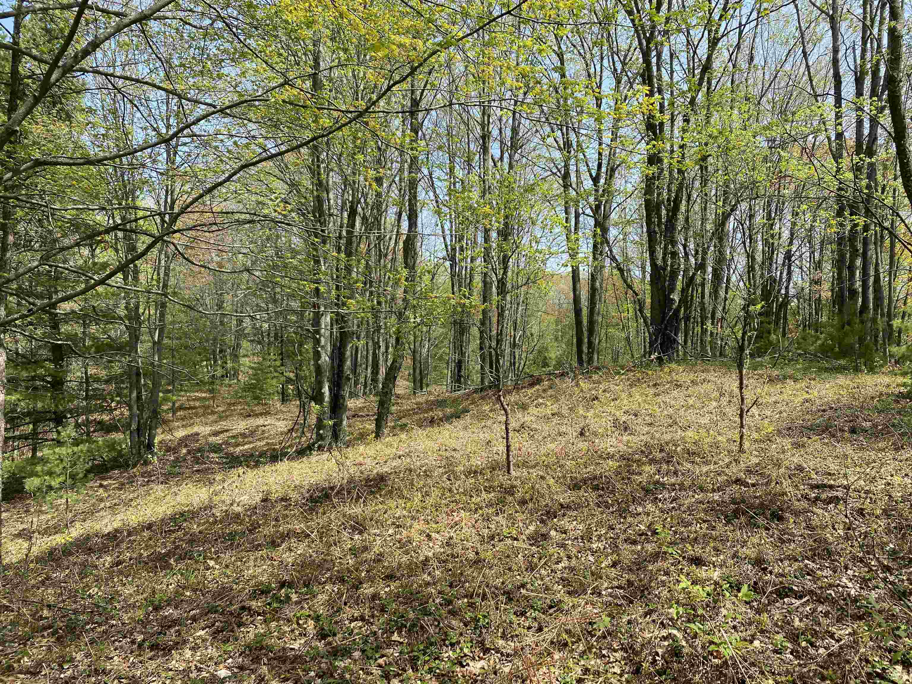 47 South 47 3/4 Road, Unit FOREST DRIVE LOT: 4 Cadillac, MI 49601 - Photo 5 of 14