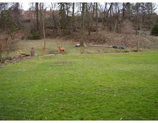 412 Streets Run Road Whitehall, PA 15236 - Photo 7 of 8 Yard/Garden.