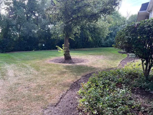 $1,750 | 2427 Ogden Avenue, Unit 3, Downers Grove, IL 60515