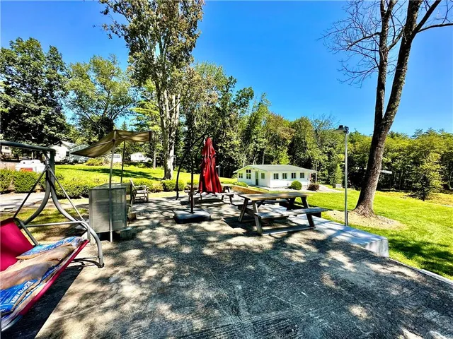 a view of a park with large trees