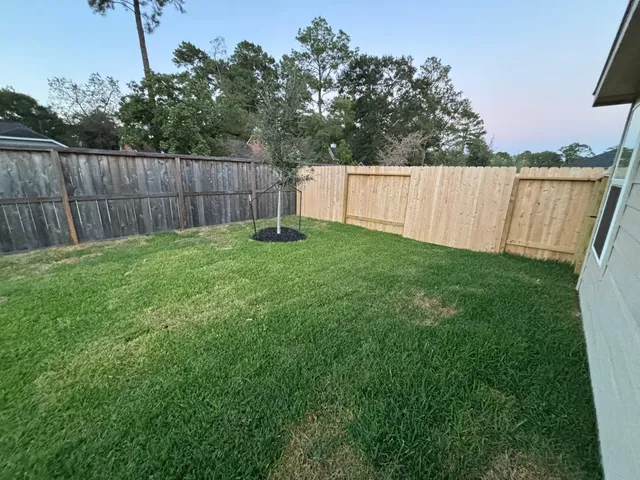 a view of a backyard with a fence and trees