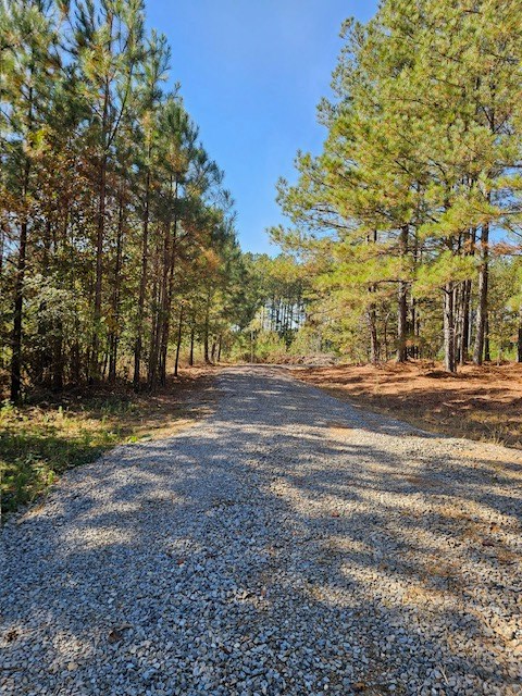 0 Prospect Road Northeast Cohutta, GA 30710 - Photo 3 of 12 Gallery Image 3