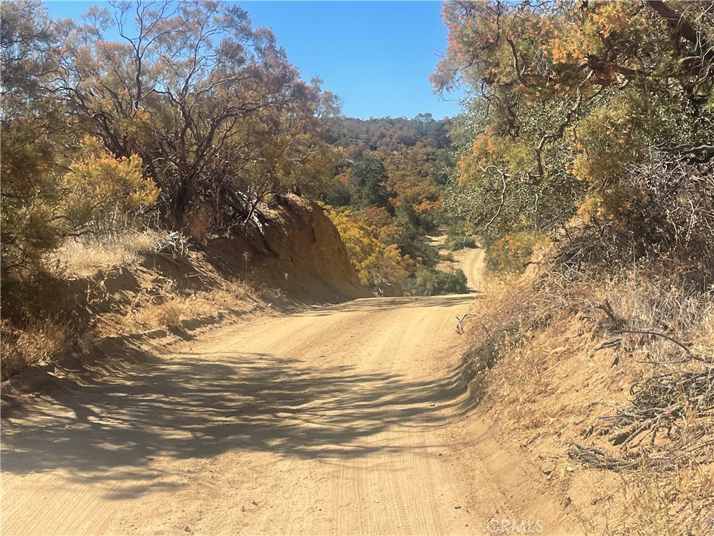56768 Dickson Hills Road Anza, CA 92539 - Photo 28 of 37 many paths throughout