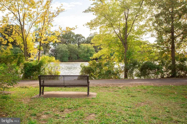 a view of park with trees