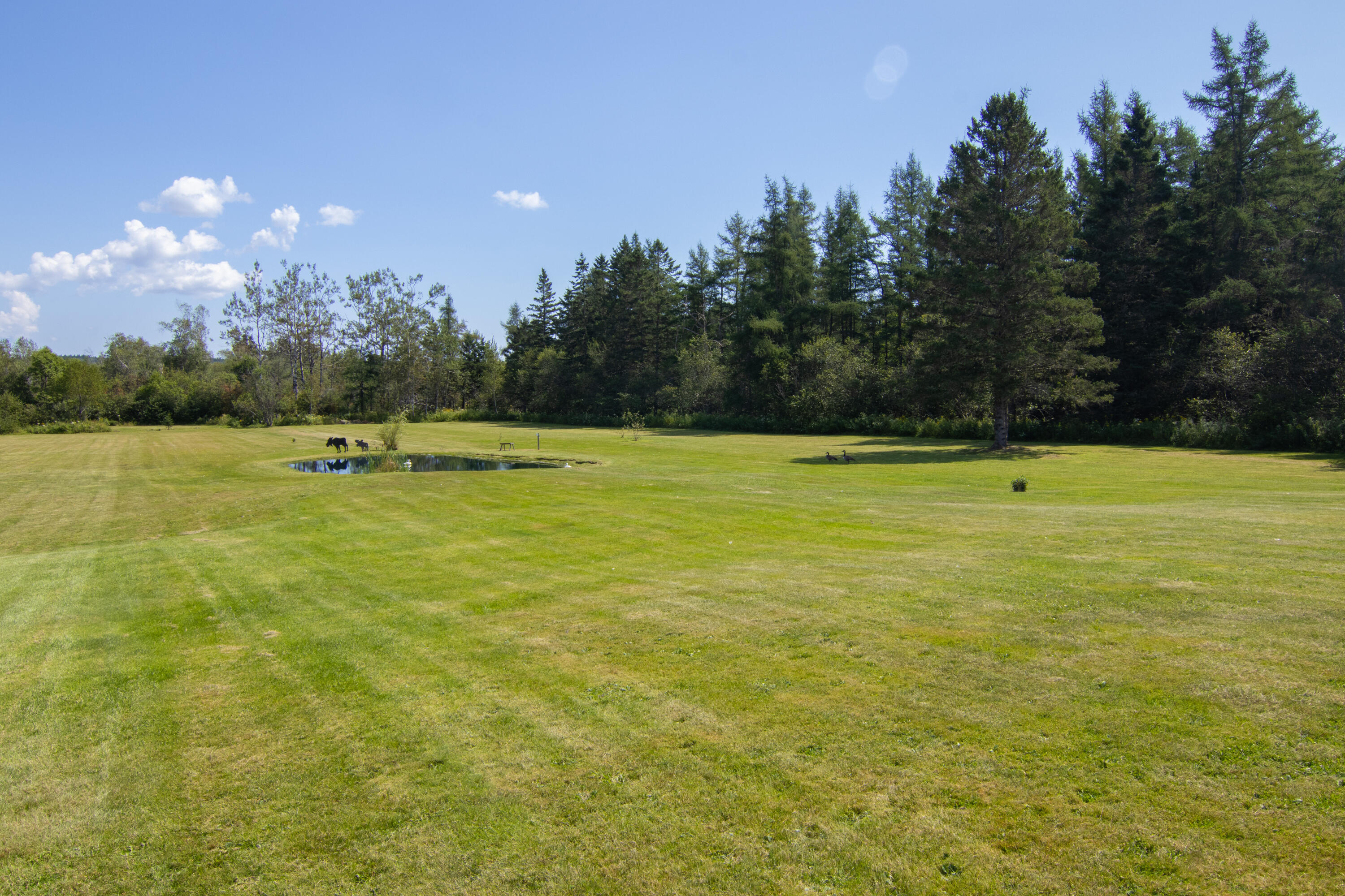 124 Pineo Point Road Harrington, ME 04643 - Photo 52 of 58 124 Wilson District Rd Exterior-9280