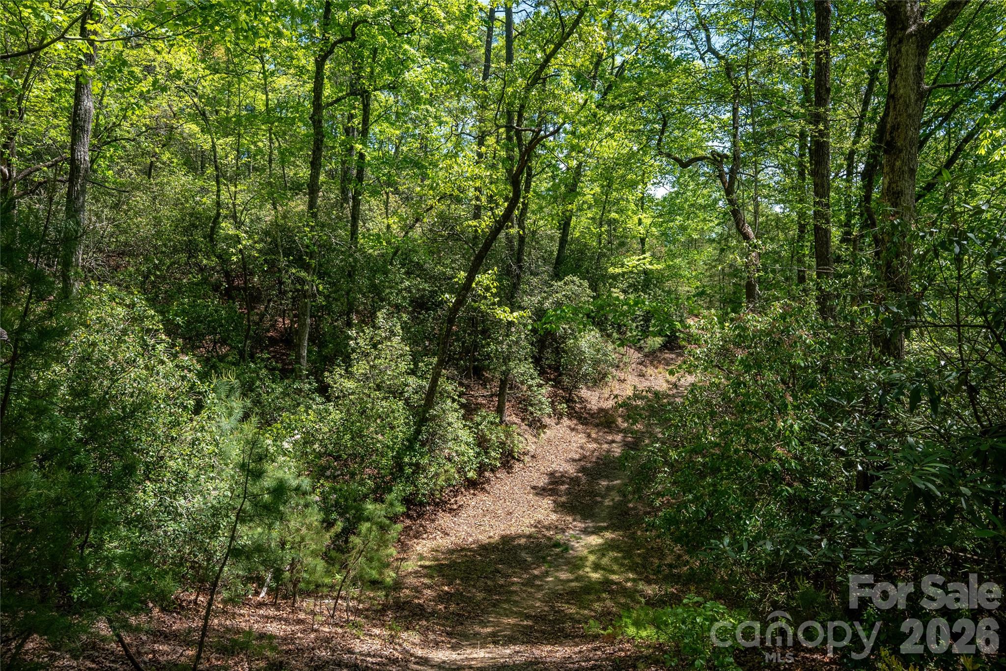 Tbd Springhouse Trail, Unit L15 Brevard, NC 28712 - Photo 9 of 21