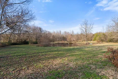 a view of grassy field with trees