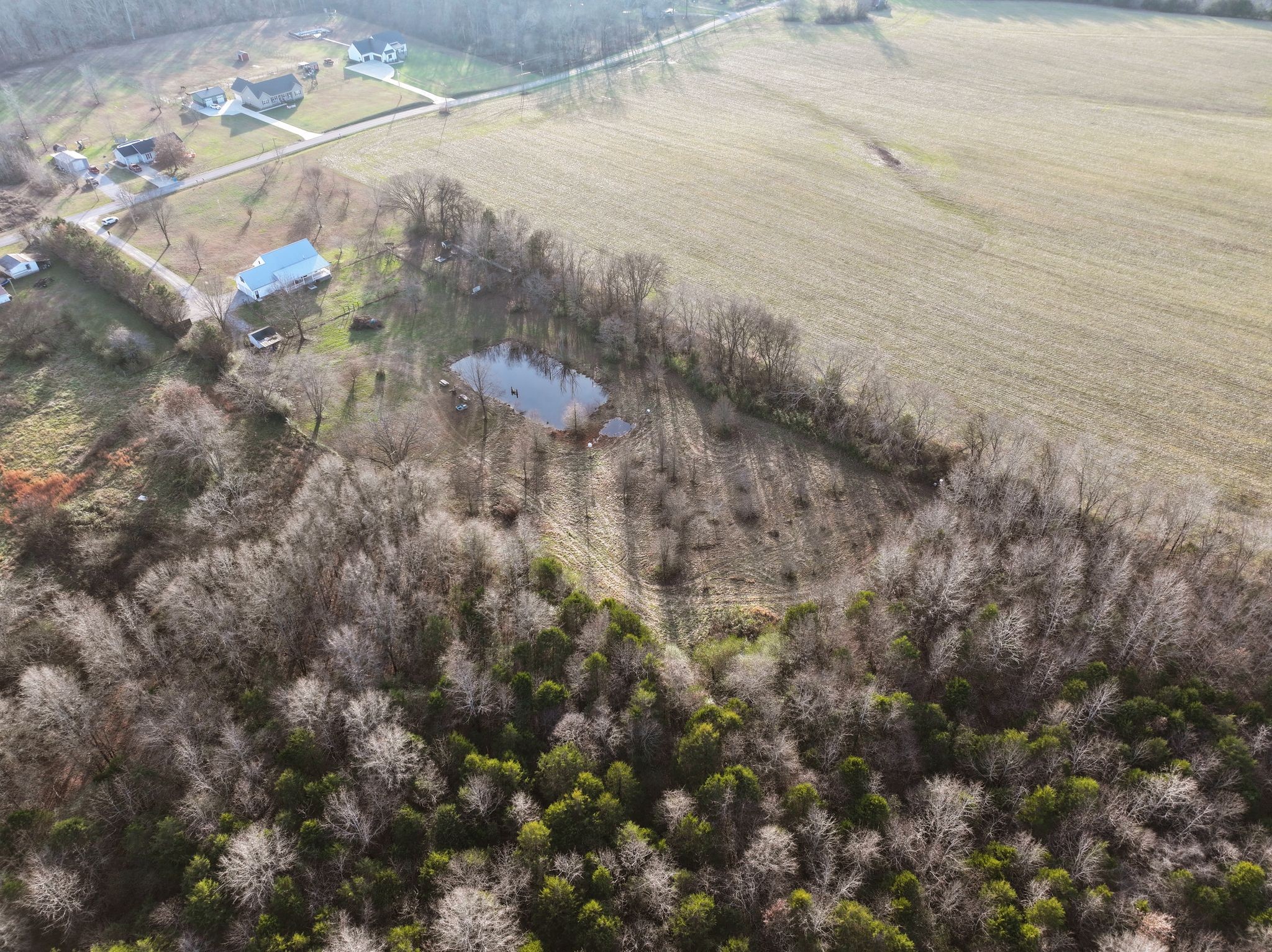 954 Newt Vanattia Road Hillsboro, TN 37342 - Photo 42 of 42 a view of a yard of a building