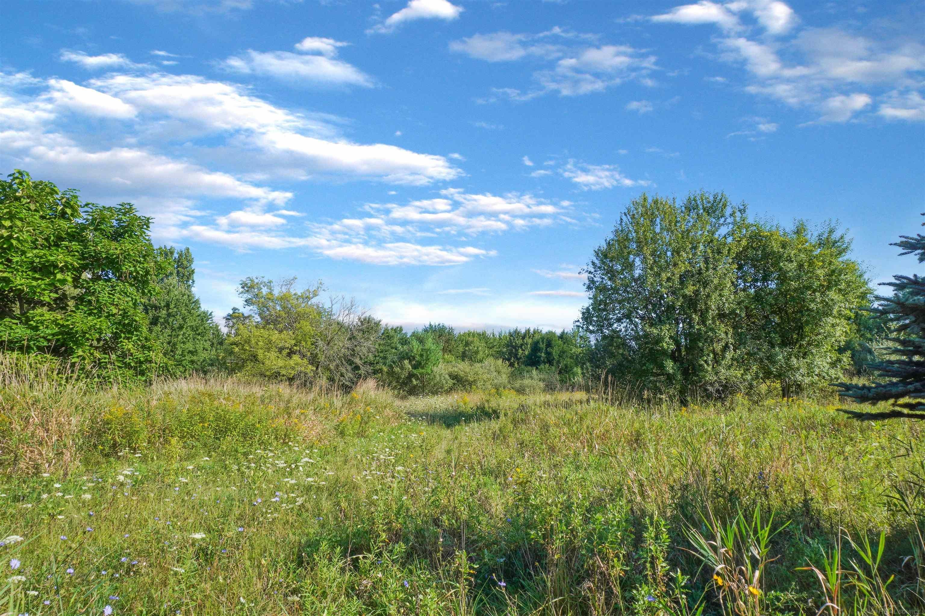 8910 Jorden Road Yale, MI 48097 - Photo 26 of 40 Gallery Image 26