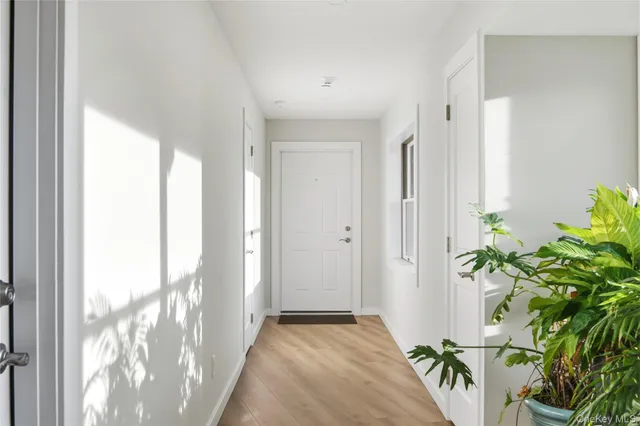 a view of a hallway with wooden floor and a potted plant
