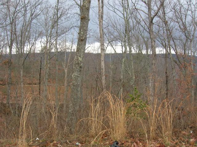 10 Aps Knob Road New Castle, VA 24127 - Photo 1 of 1 Mt. Side lot