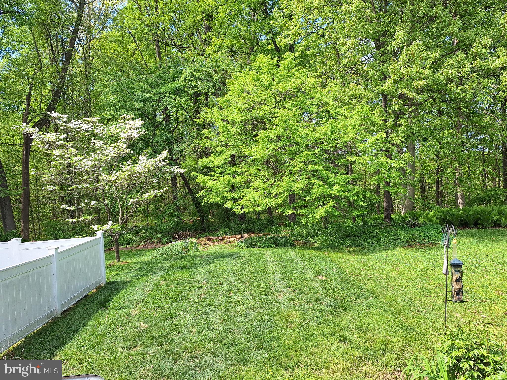 704 Shallow Ridge Court Abingdon, MD 21009 - Photo 6 of 6 a view of a back yard