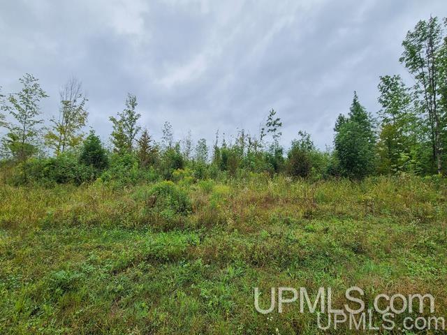 Tbd Bates-Amasa Road Iron River, MI 49935 - Photo 8 of 12