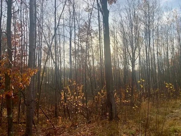 $89,900 | Tbd Tbd New Paradise Point Dr Lake, Lake George, MN 56458