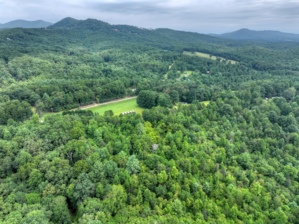 6162 Hardscrabble Road Mineral Bluff, GA 30559 - Photo 16 of 54 Gallery Image 16