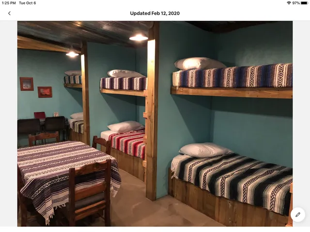 a bedroom with two beds and a potted plant