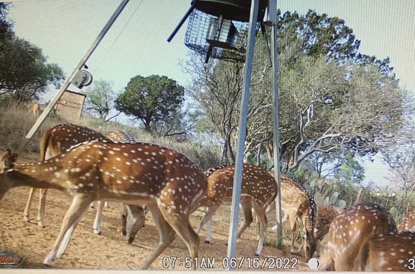 629 Elliott Road London, TX 76854 - Photo 33 of 49 a view of a backyard