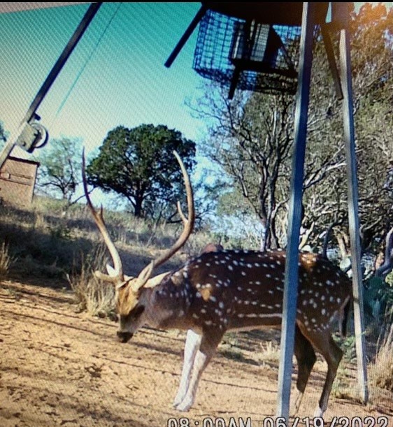 629 Elliott Road London, TX 76854 - Photo 34 of 49 a view of a backyard