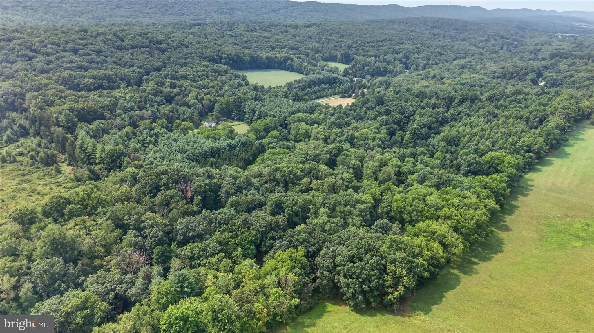 4144 Back Road Halifax, PA 17032 - Photo 7 of 31 Gallery Image 7