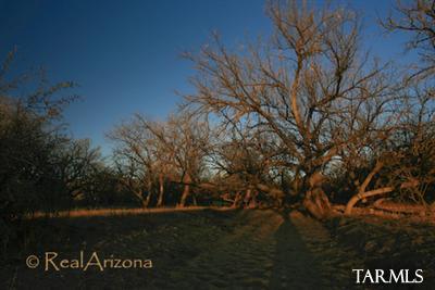 24 Camino Carina Rio Rico, AZ 85648 - Photo 7 of 24