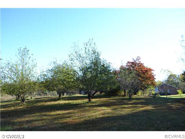 12110 Smokey Lane Rice, VA 23966 - Photo 5 of 14 a view of big yard and a large trees