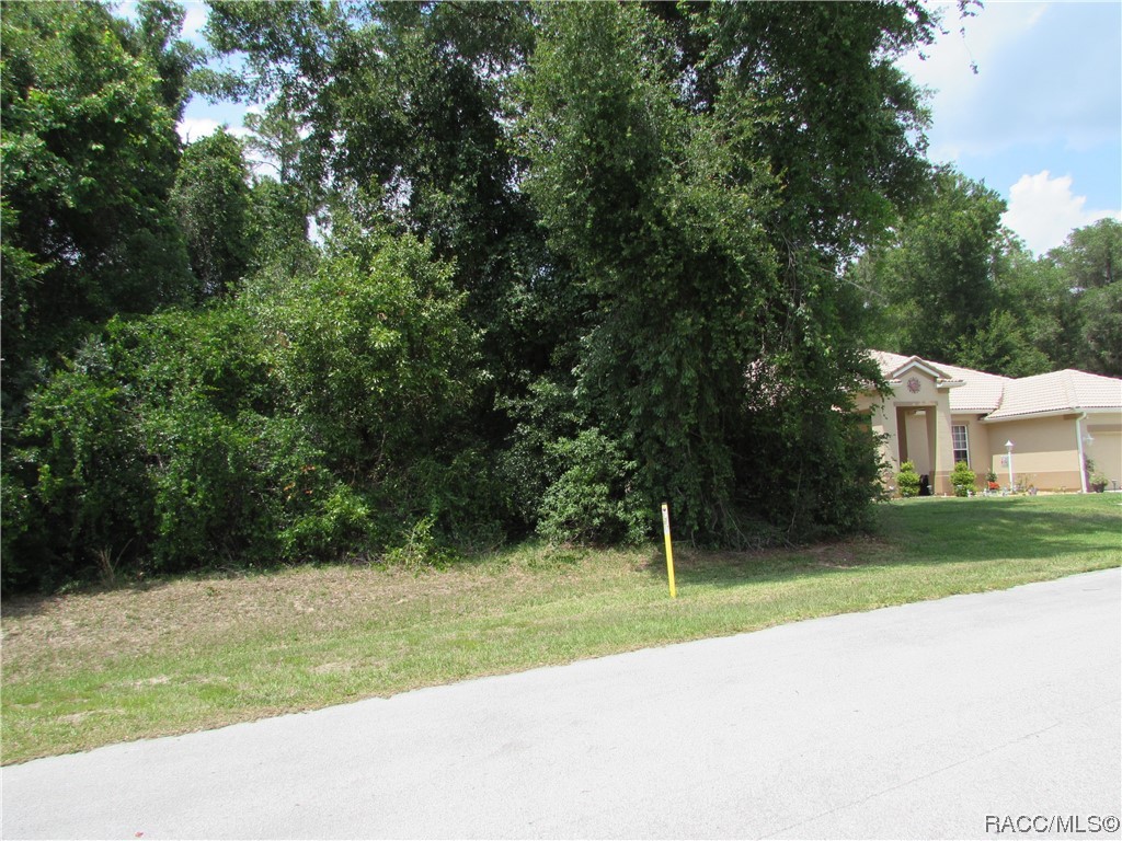 2852 North Appledore Path Hernando, FL 34442 - Photo 3 of 6 a view of a house with a yard