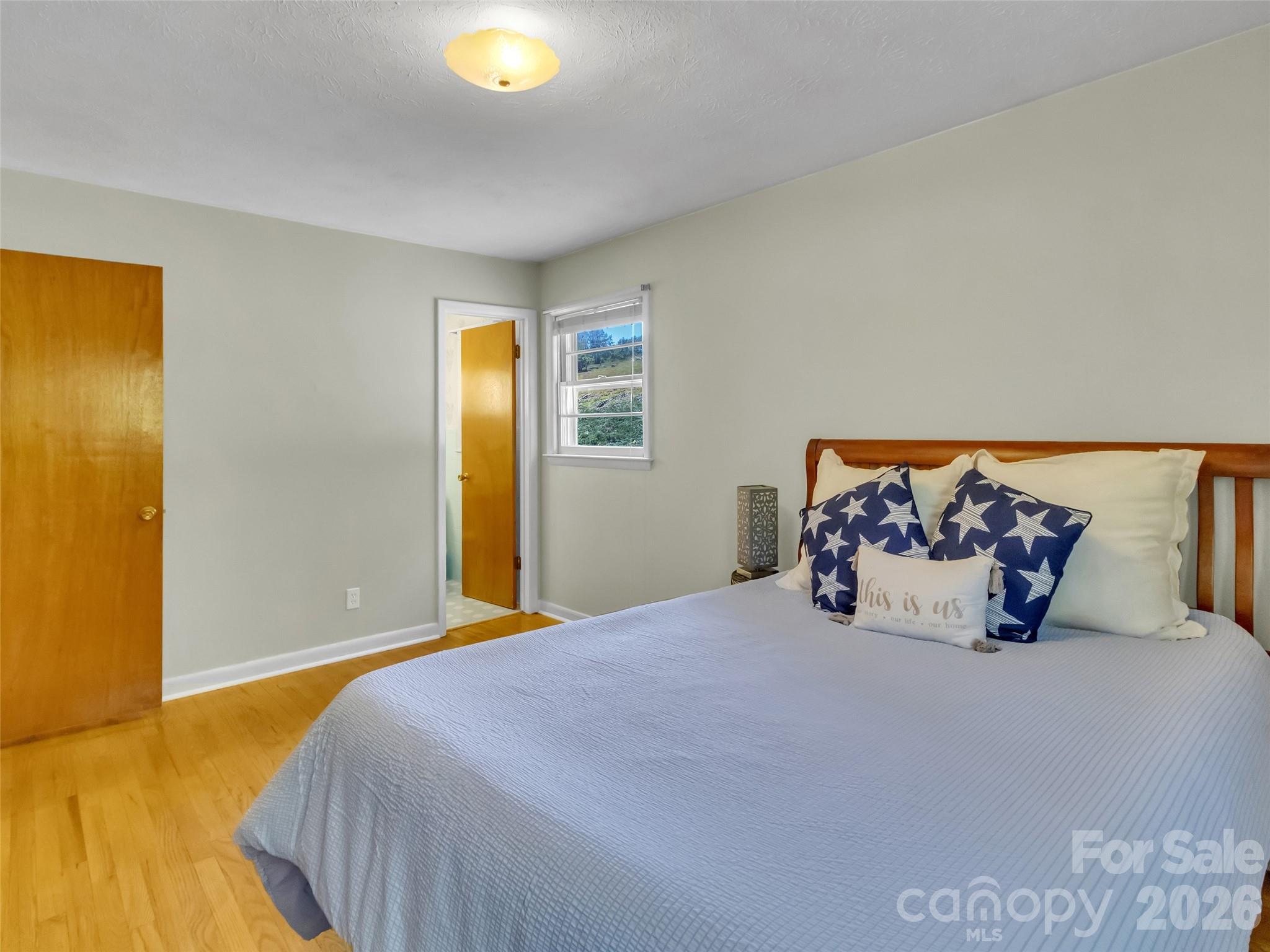 250 Reeves Cove Road Candler, NC 28715 - Photo 17 of 48 Gallery Image 17